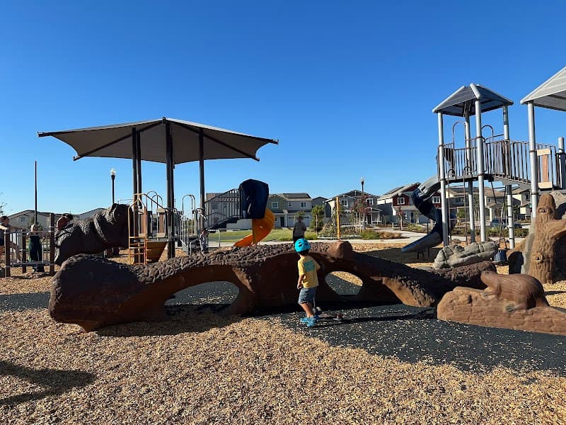 Adreani Park in Elk Grove, California
