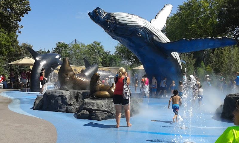 Alaskan Adventure Splash Pad splash pad