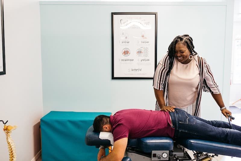 Chiropractic Care for Animals Phoenix Rising Wellness Center in Olympia, Washington