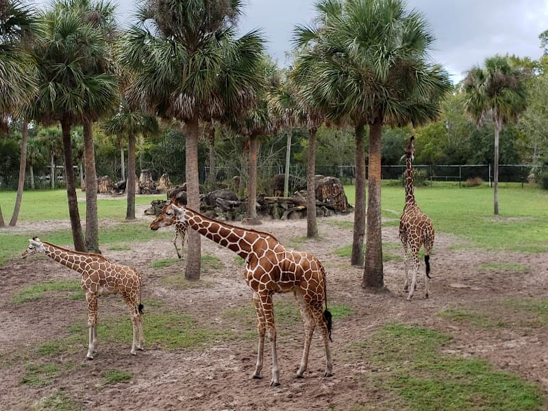 Jacksonville Zoo & Gardens Splash Pad in Jacksonville, Florida