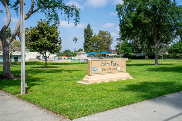 Palm Park Splash Fountain splash pad