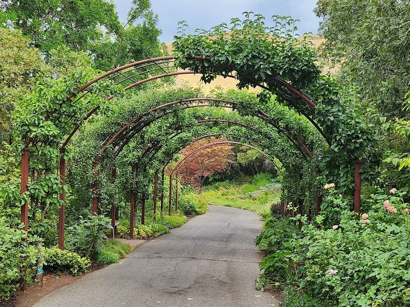 Red Butte Gardens' Children's Garden splash pad