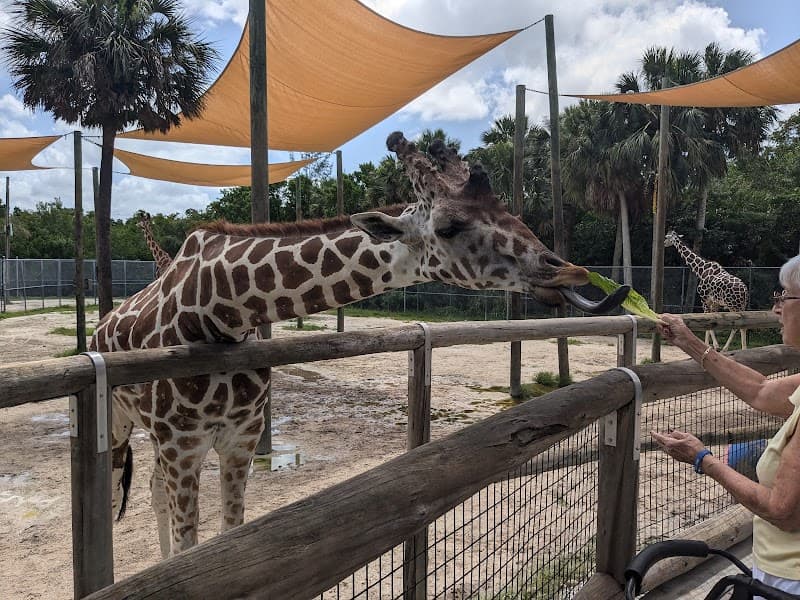 Splash Zone at Naples Zoo at Caribbean Gardens in Naples, Florida