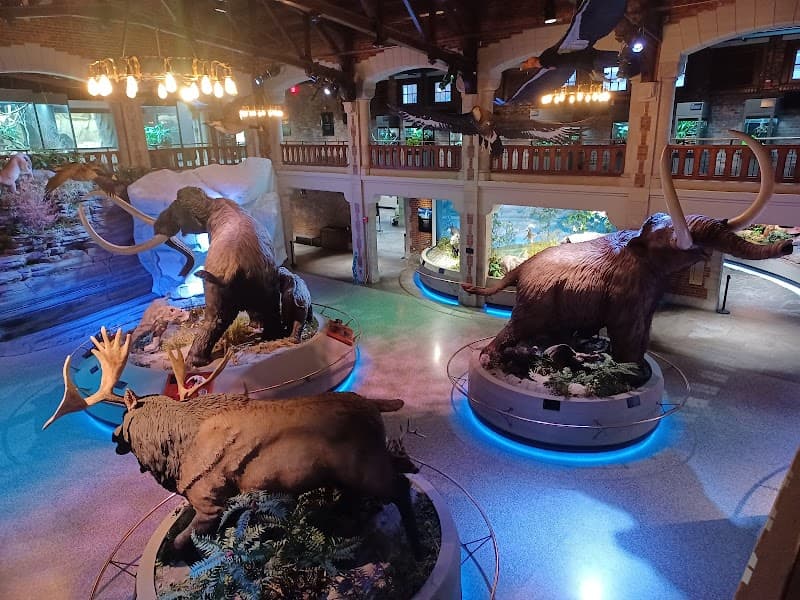 Toledo Zoo Aquarium Adventure Trail Cool Zone in Toledo, Ohio
